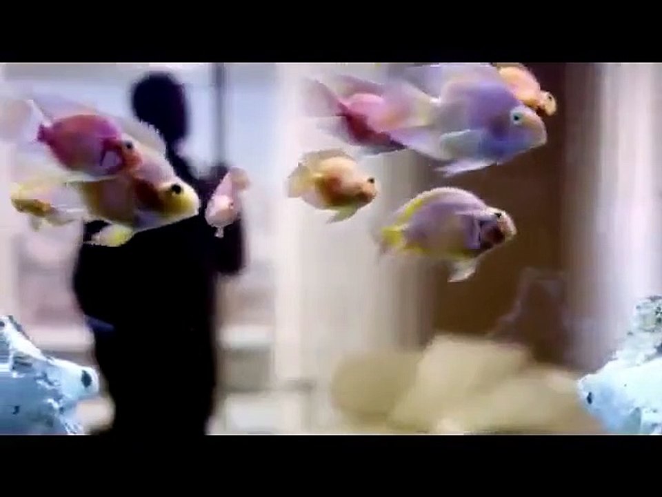 Hustle - Se6 - Ep06 HD Watch