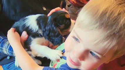 'Just what our family was missing!' - Kids have the SWEETEST reaction to being surprised with a puppy for Christmas!