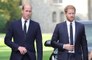 Prince Harry ‘alarmed’ by William’s hair loss