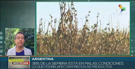 Argentina afronta compleja situación en el sector agropecuario