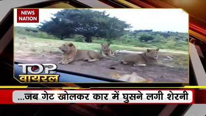 Viral Videos : देखिए सोशल मीडिया पर वायरल वीडियो का Countdown |