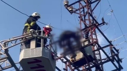 DİYARBAKIR - Elektrik akımına kapılan kişi öldü