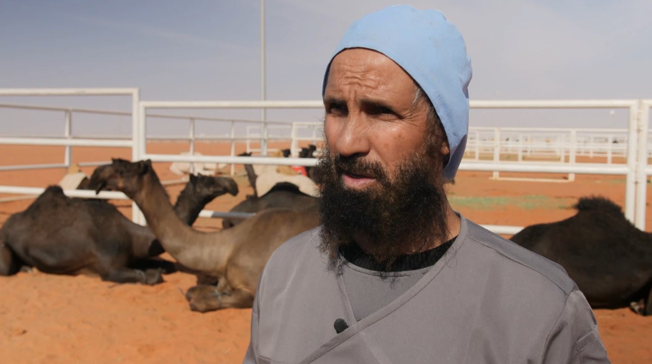 Exclu. "Certains injectent du botox" : Enquête exclusive met en lumière la triche dans les concours de chameaux en Arabie Saoudite