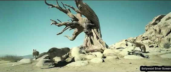 2018 Alpha Full Movie Explained Hindi_Urdu(480P)