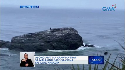 Asong apat na araw na-trap sa malaking bato sa gitna ng ilog, nasagip | Saksi