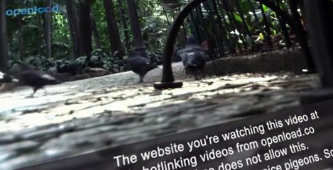 Jack's Big Music Show S02 E001-007