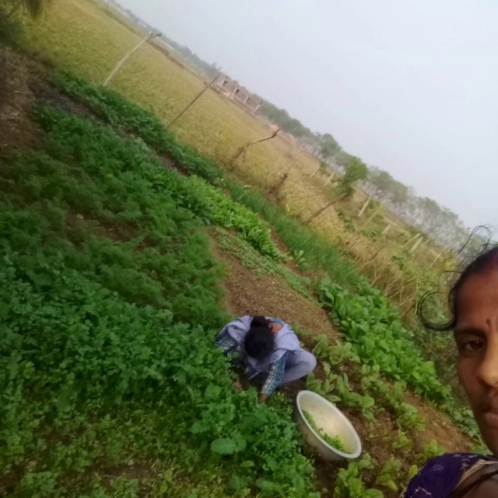 Beautiful place in Odisha village please follow me