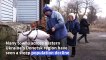 Elderly left behind as young people leave eastern Ukraine