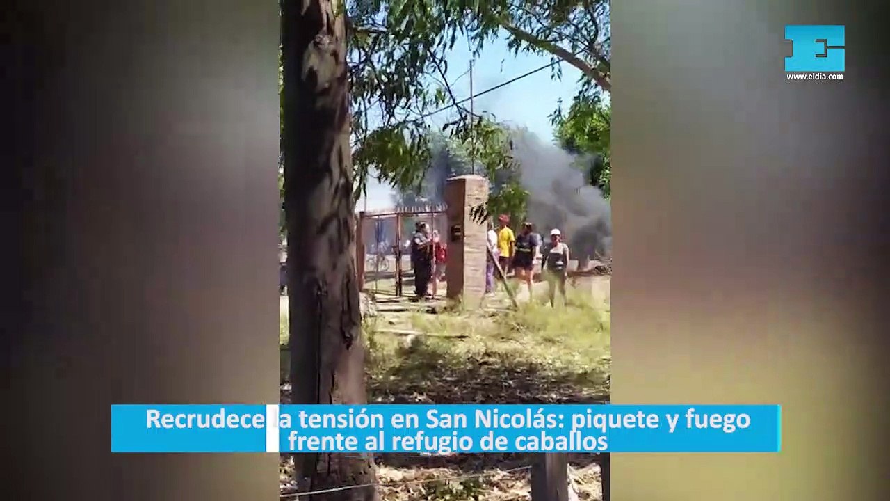 Recrudece la tensión en San Nicolás: piquete y fuego frente al refugio de caballos