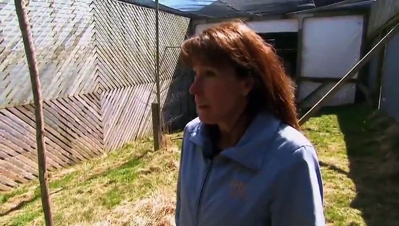 Hope in the Wild - Se1 - Ep06 HD Watch