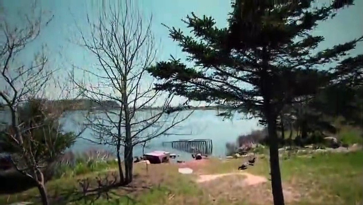 Hope in the Wild Se1 Ep08 HD Watch video Dailymotion