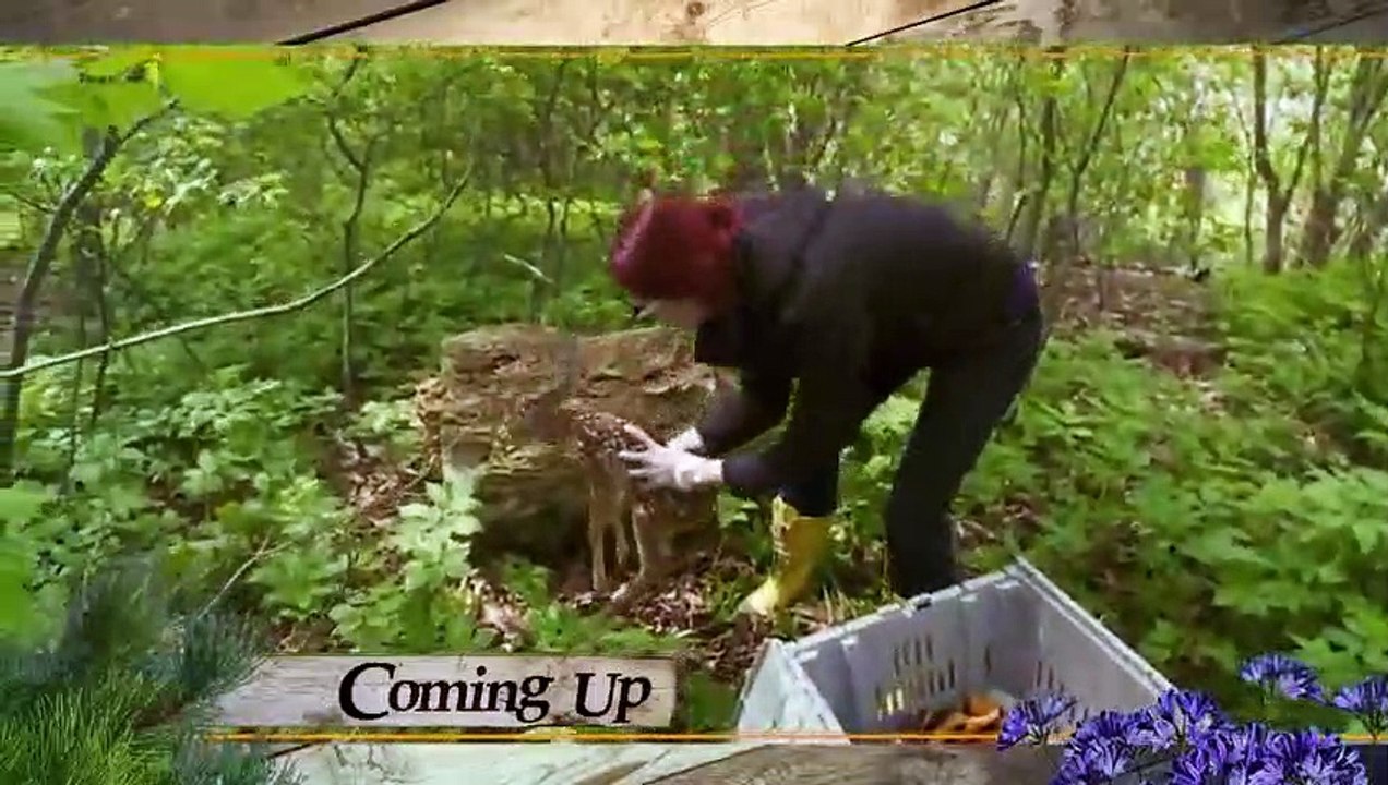 Hope in the Wild - Se1 - Ep12 HD Watch