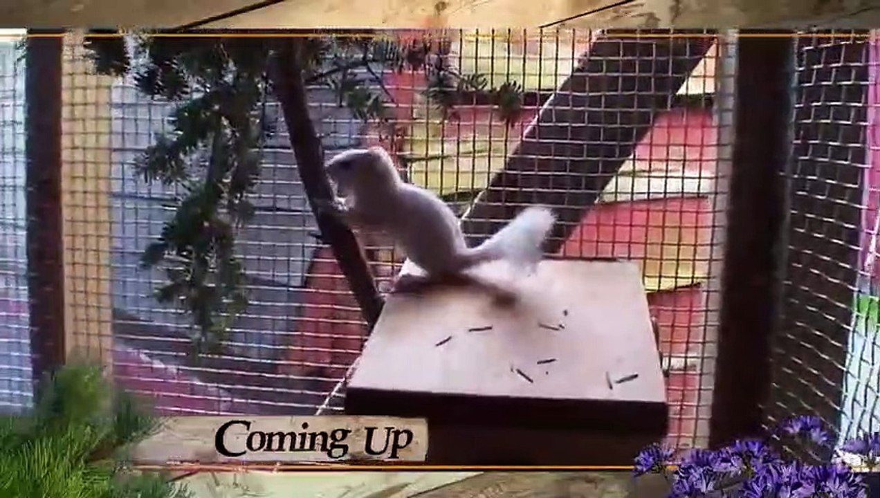 Hope in the Wild - Se1 - Ep16 HD Watch