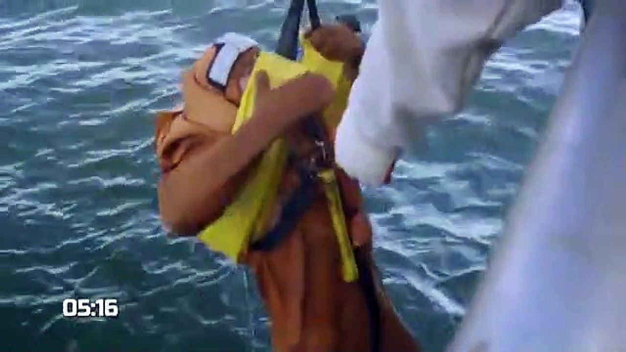 Hard to kill - Se1 - Ep05 - Commercial Fisherman HD Watch