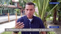 Pescado de Río ¿Una opción de proteína animal a bajo costo? - 06Ene @VPItv