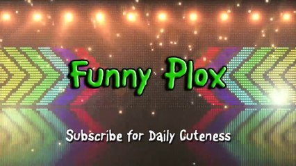 Funny Babies Laughing Hysterically at Dogs Compilation