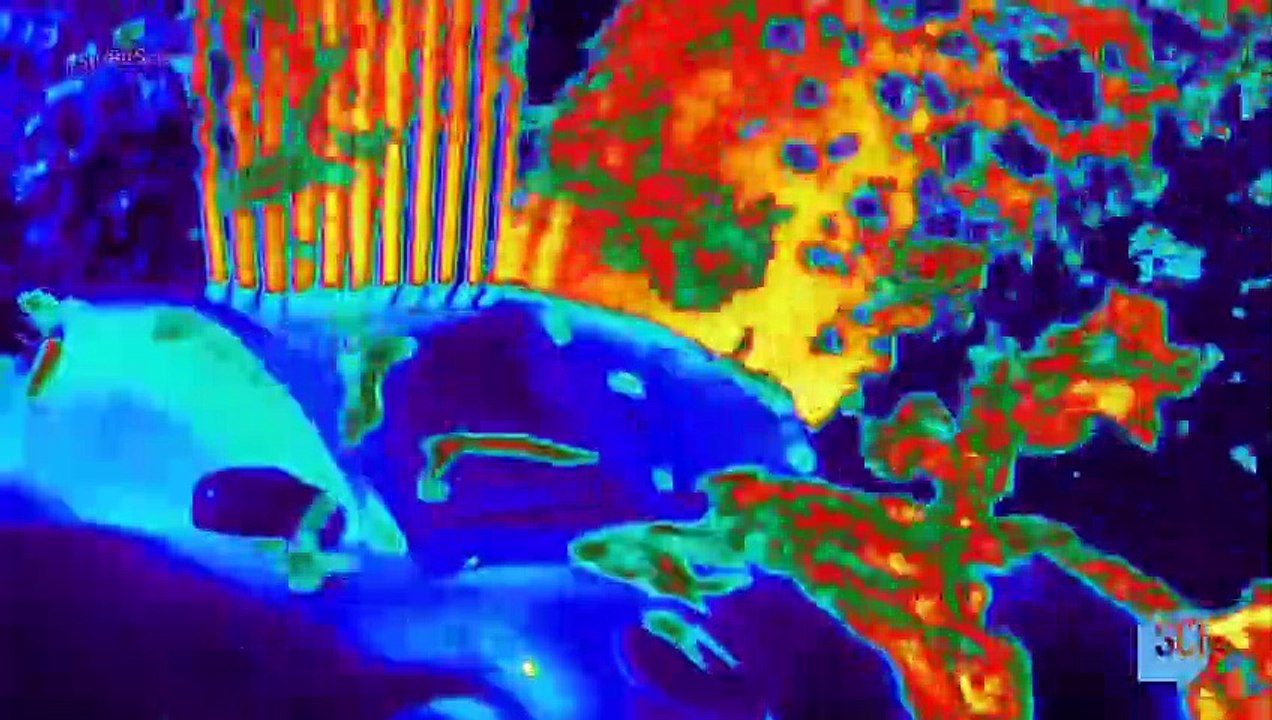 Street Science - Se1 - Ep01 - Big Bam Boom HD Watch