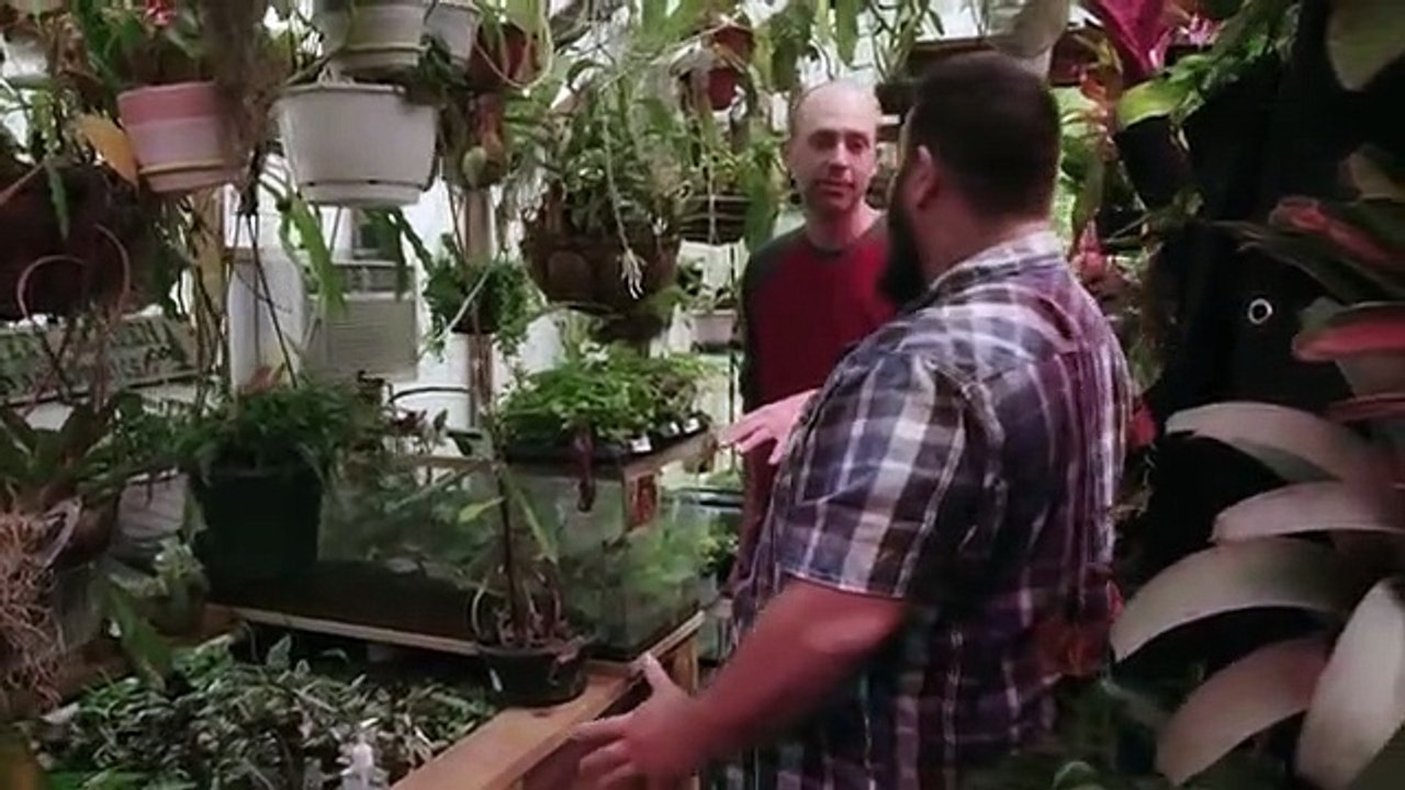 Scaled - Se1 - Ep01 - Poison Dart Frog Family HD Watch