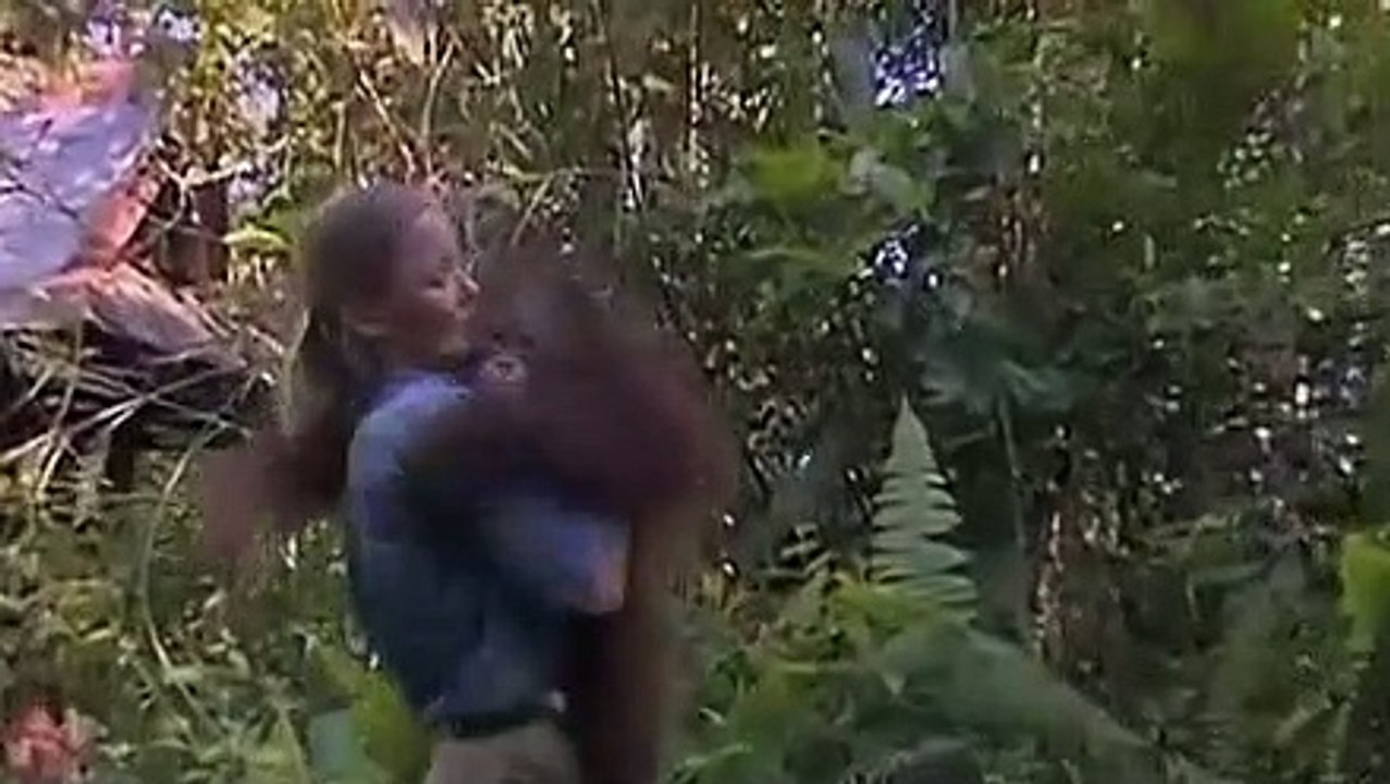Orangutan Island - Se1 - Ep12 - Who Rules HD Watch