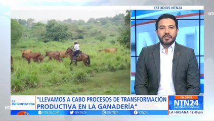 La iniciativa que busca reducir la deforestación para mejorar la vida de la población rural en Colombia