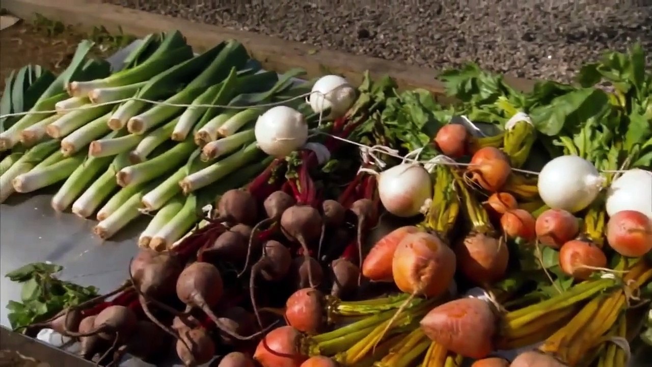 Man Fire Food - Se10 - Ep01 - Southern Sizzle and Smoke HD Watch