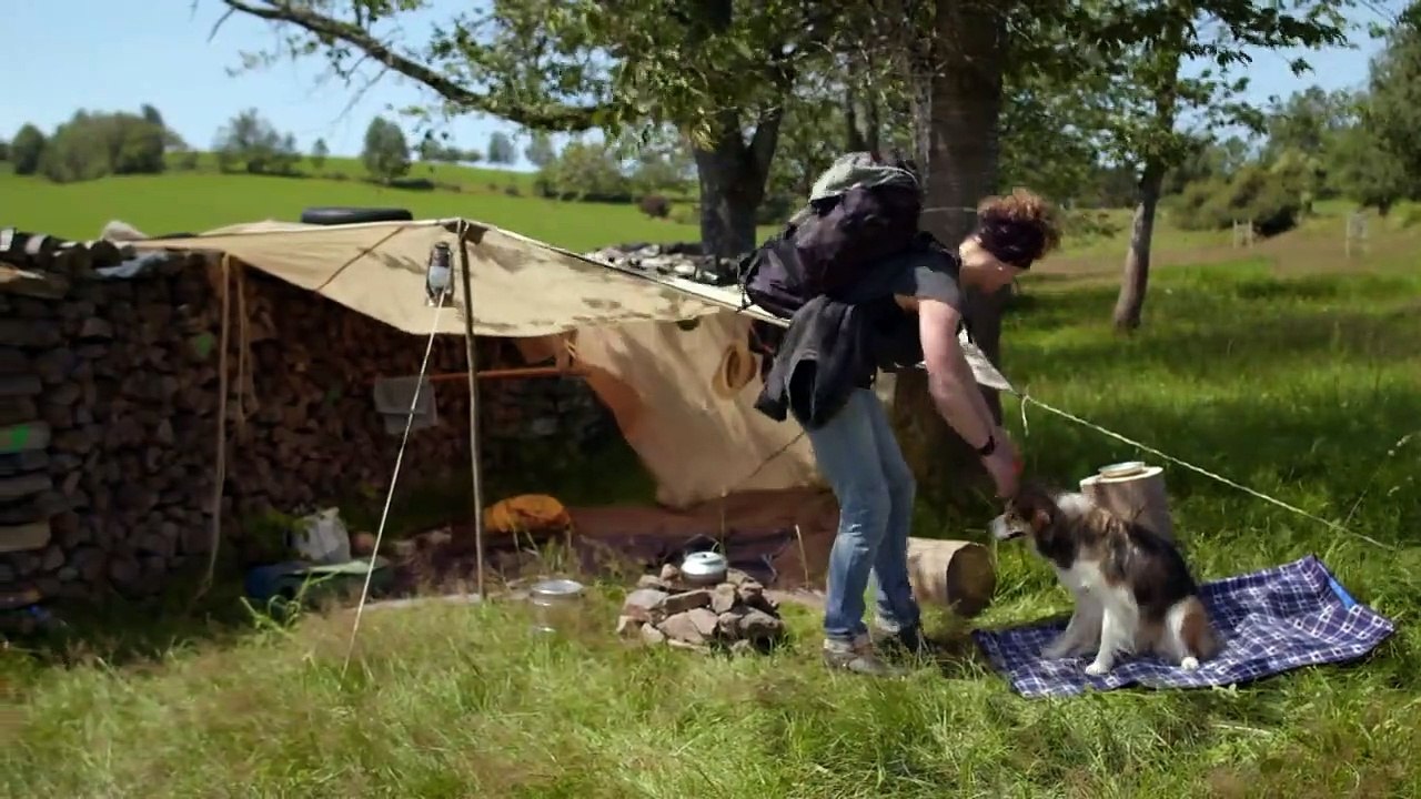 Tiere bis unters Dach Staffel 8 Folge 9