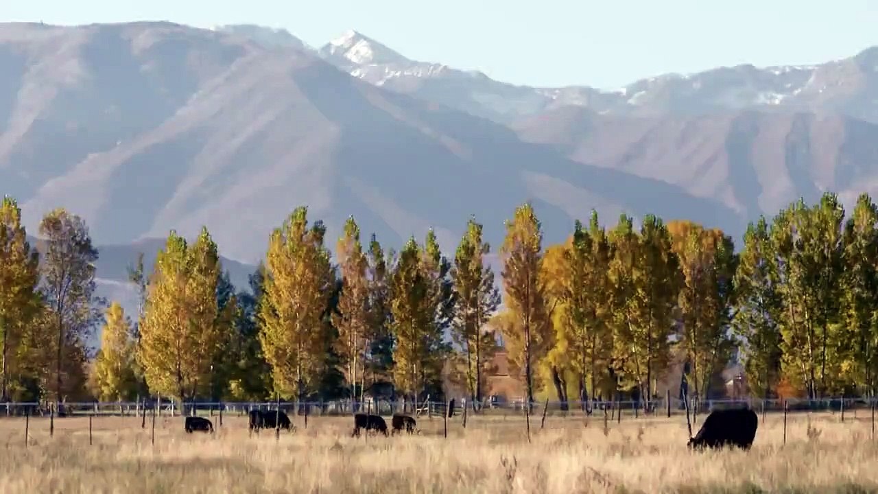 Mur-'der Decoded - Se1 - Ep03 - Mur-'der on the Rocks HD Watch