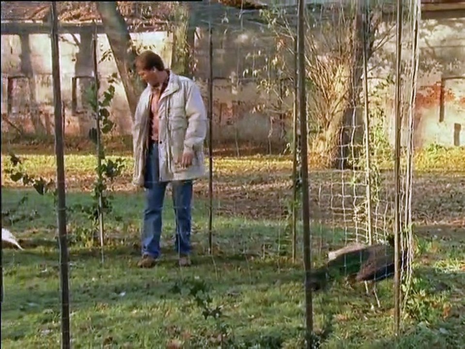 Unser Charly Staffel 7 Folge 14