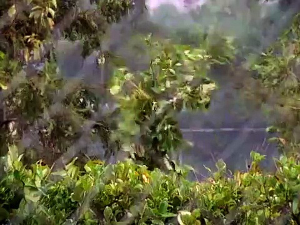 Cybill - Se3 - Ep18 HD Watch