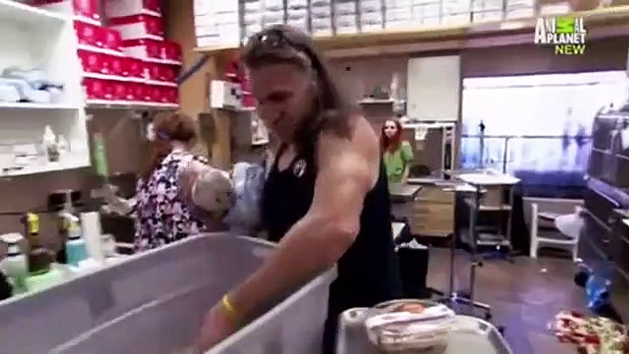 Dr. Jeff - Rocky Mountain Vet - Se1 - Ep02 HD Watch