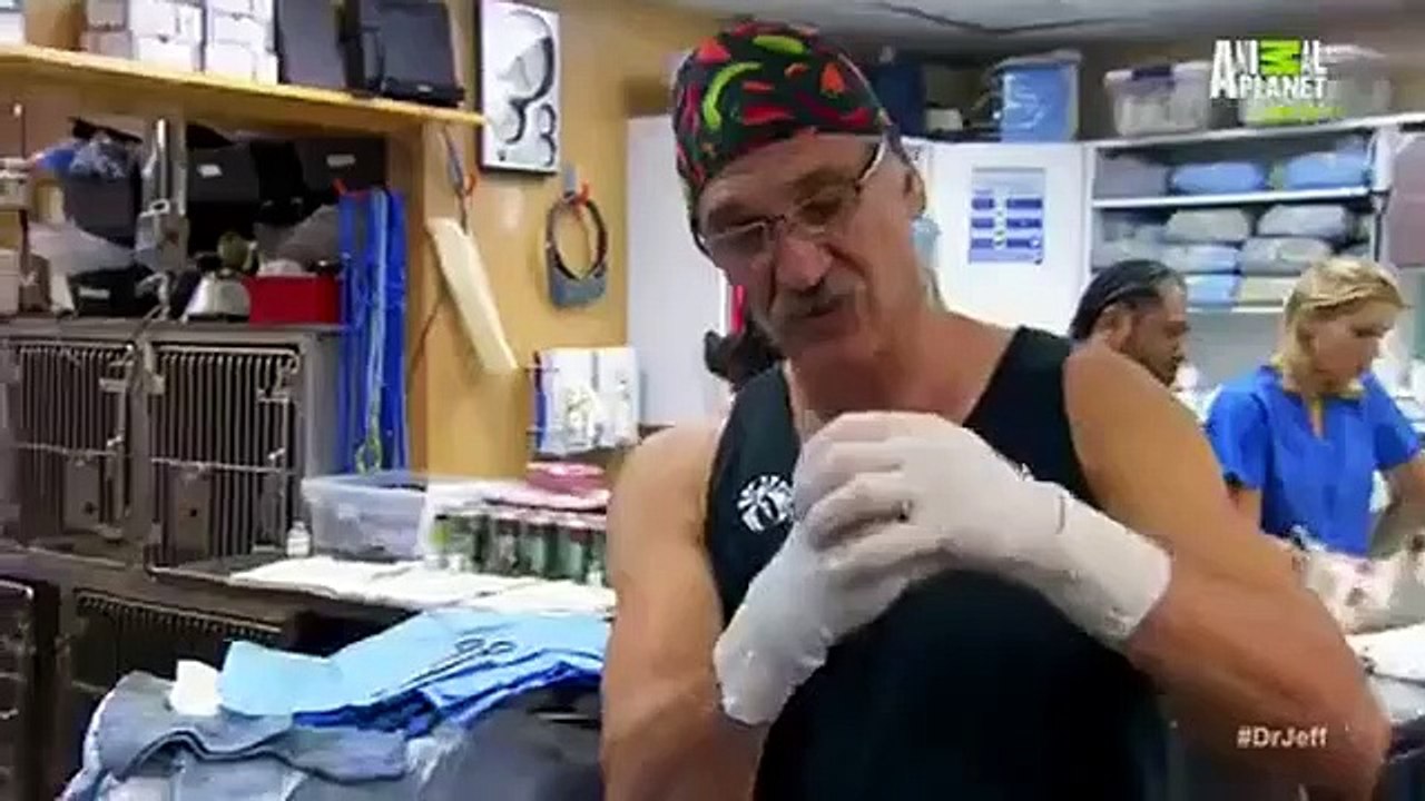 Dr. Jeff - Rocky Mountain Vet - Se1 - Ep05 HD Watch