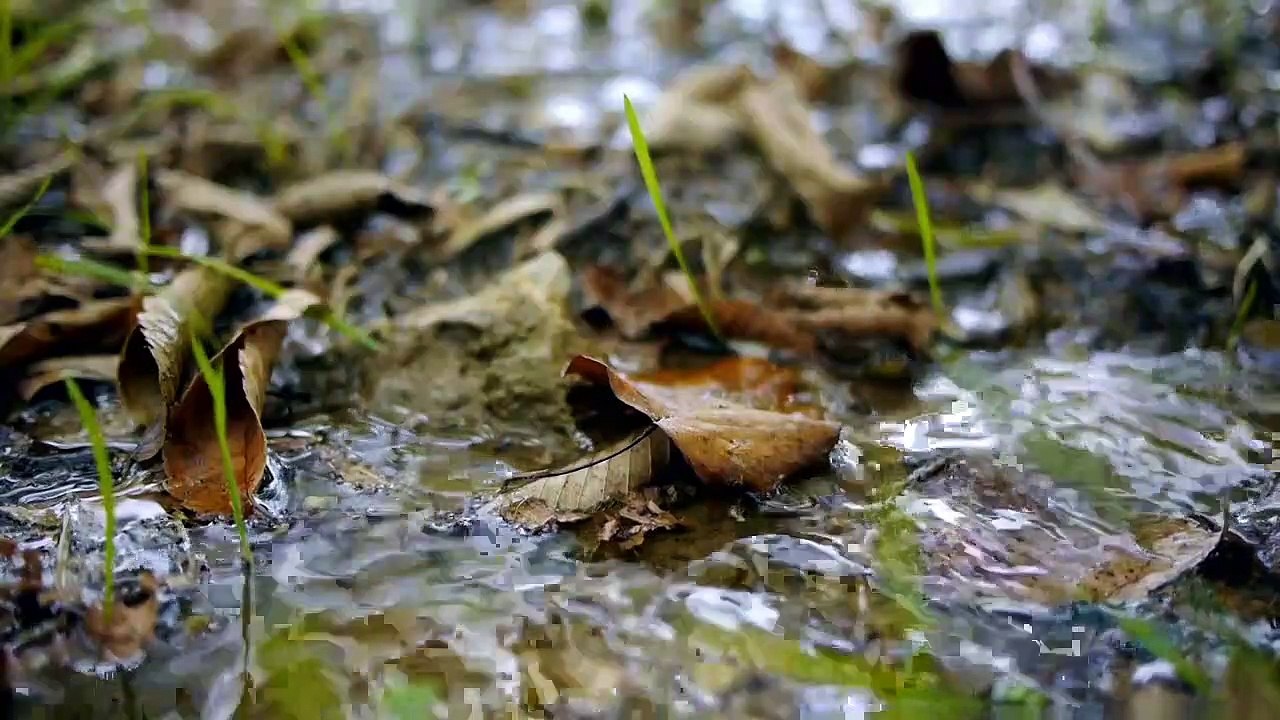 Ancient Unexplained Files - Se1 - Ep05 HD Watch