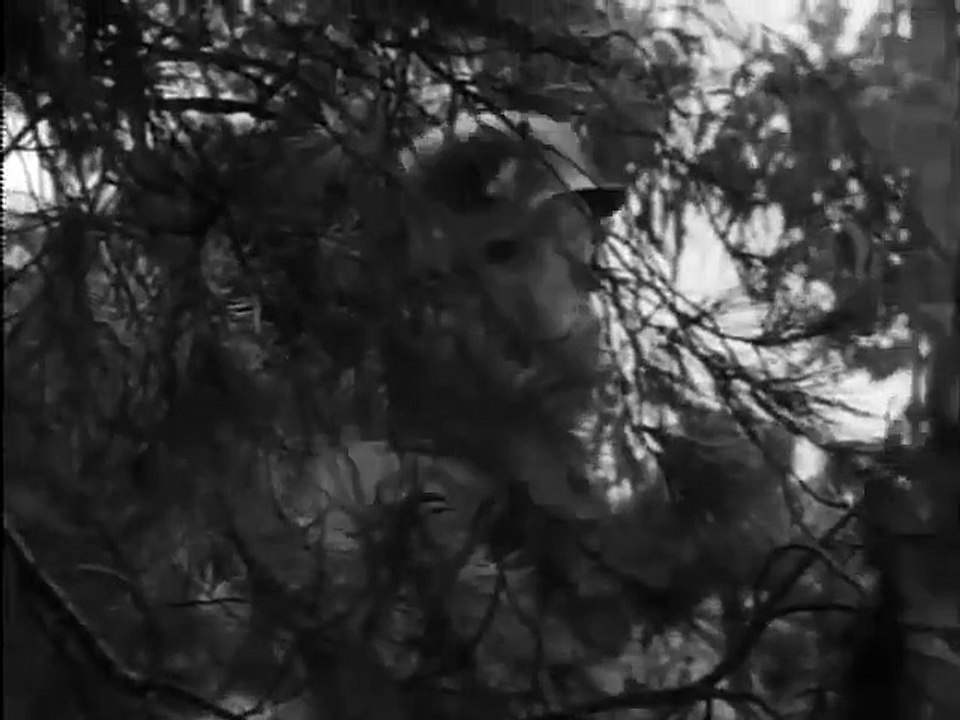 Combat! - Se2 - Ep11 HD Watch