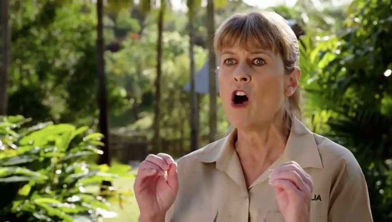 Crikey! It's the Irwins - Se2 - Ep07 - Swimming With Steve HD Watch