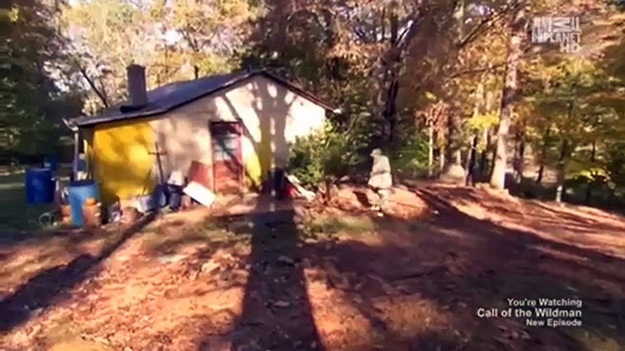 Call of the Wildman - Se4 - Ep02 HD Watch