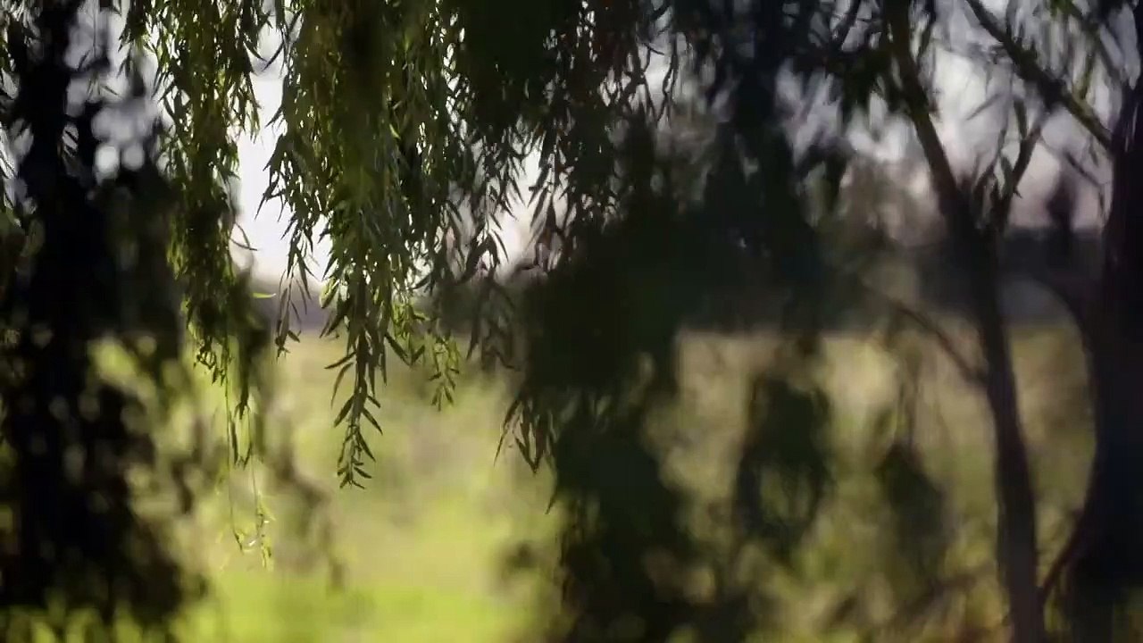 A Ghost Ruined My Life - Se1 - Ep02 - Dark Entity HD Watch