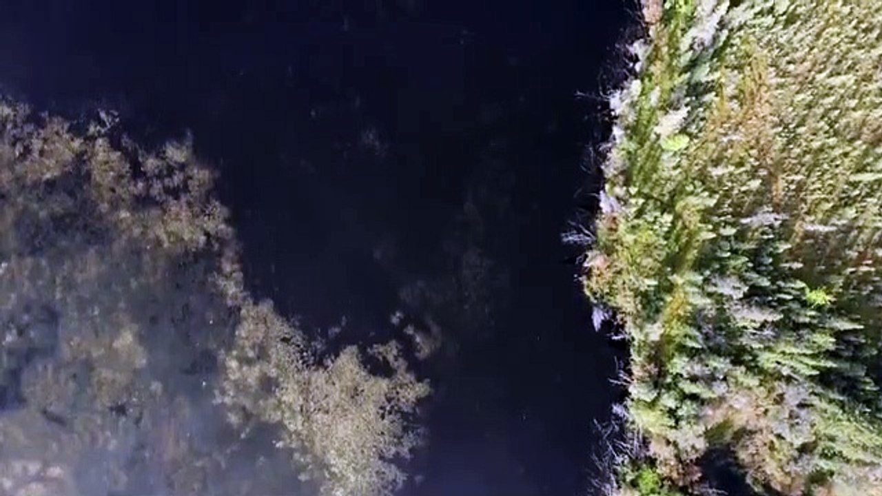 Aliens in Alaska - Se1 - Ep04 HD Watch