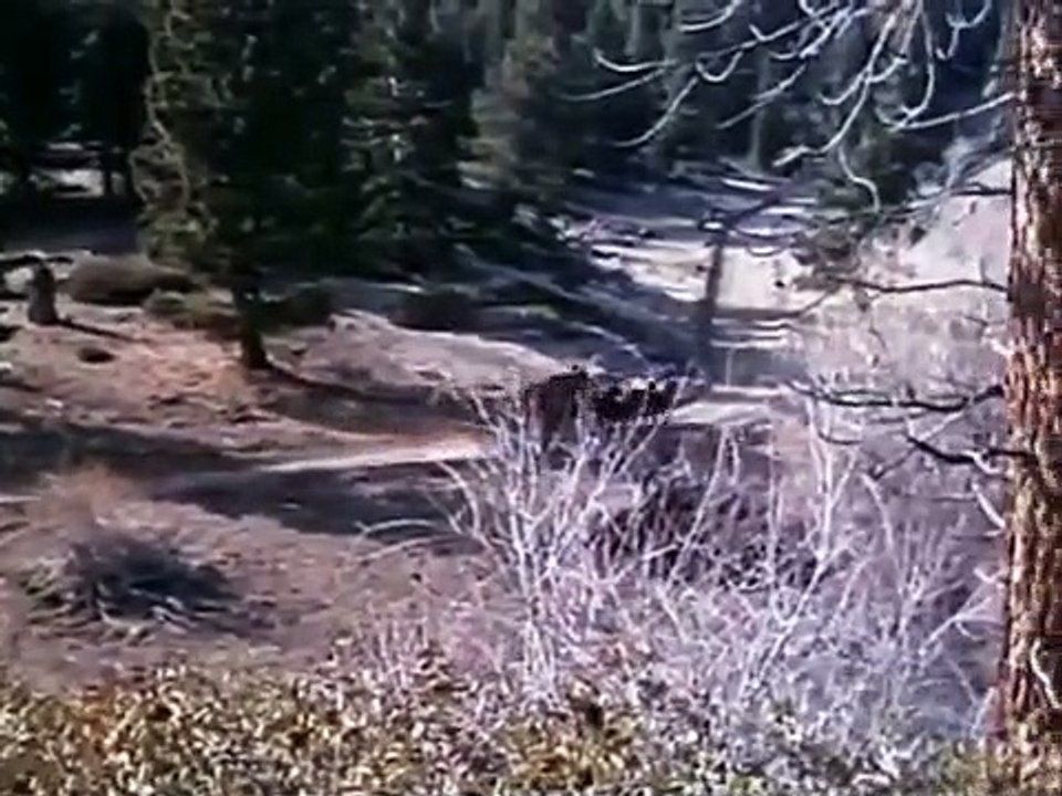 Bonanza - Se3 - Ep31 HD Watch