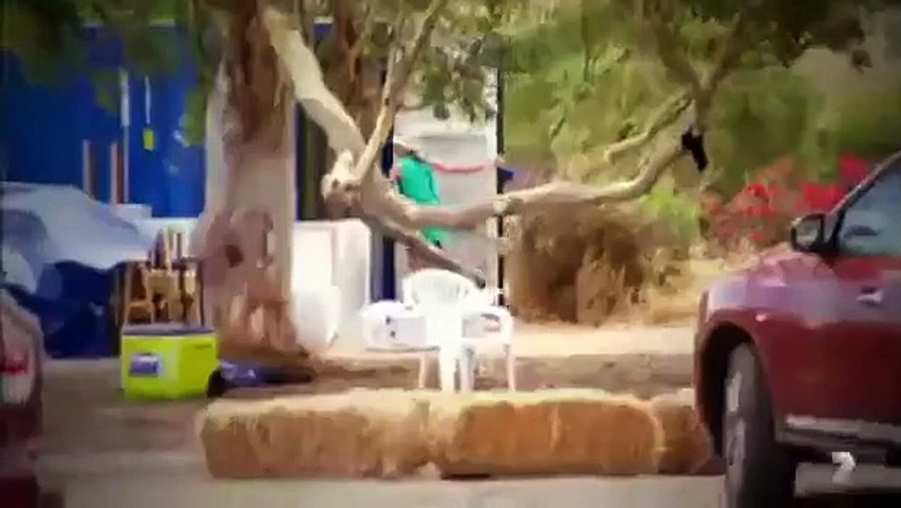 House Rules - Se3 - Ep21 HD Watch