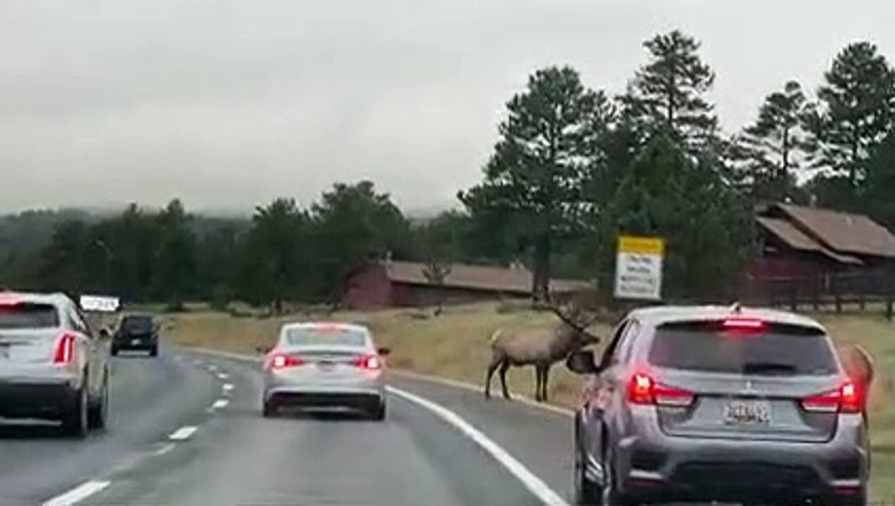 in the road