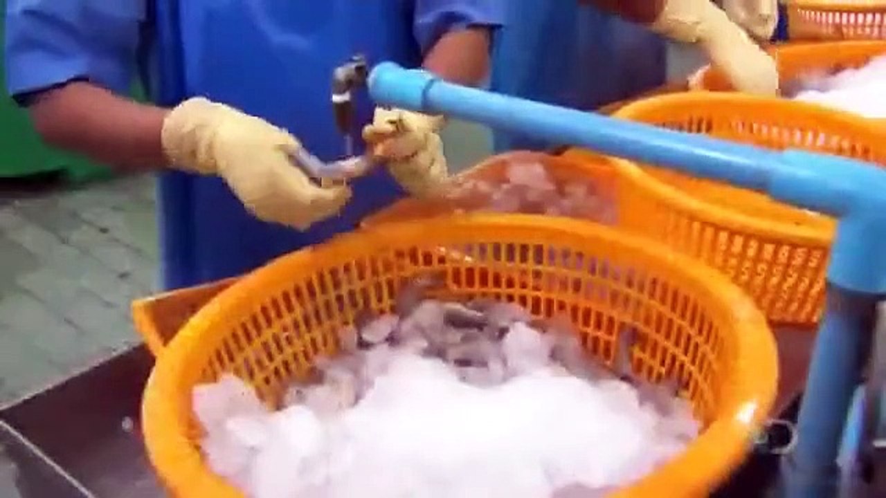 How It's Made - Se21 - Ep04 HD Watch