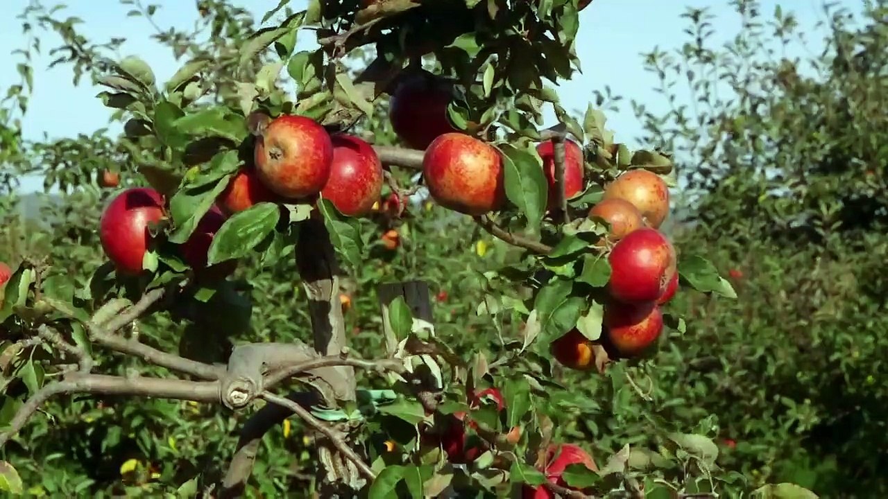 Great British Railway Journeys - Se10 - Ep15 HD Watch