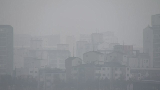전국 대부분 미세먼지 비상저감조치... 주말 외출자제 / YTN
