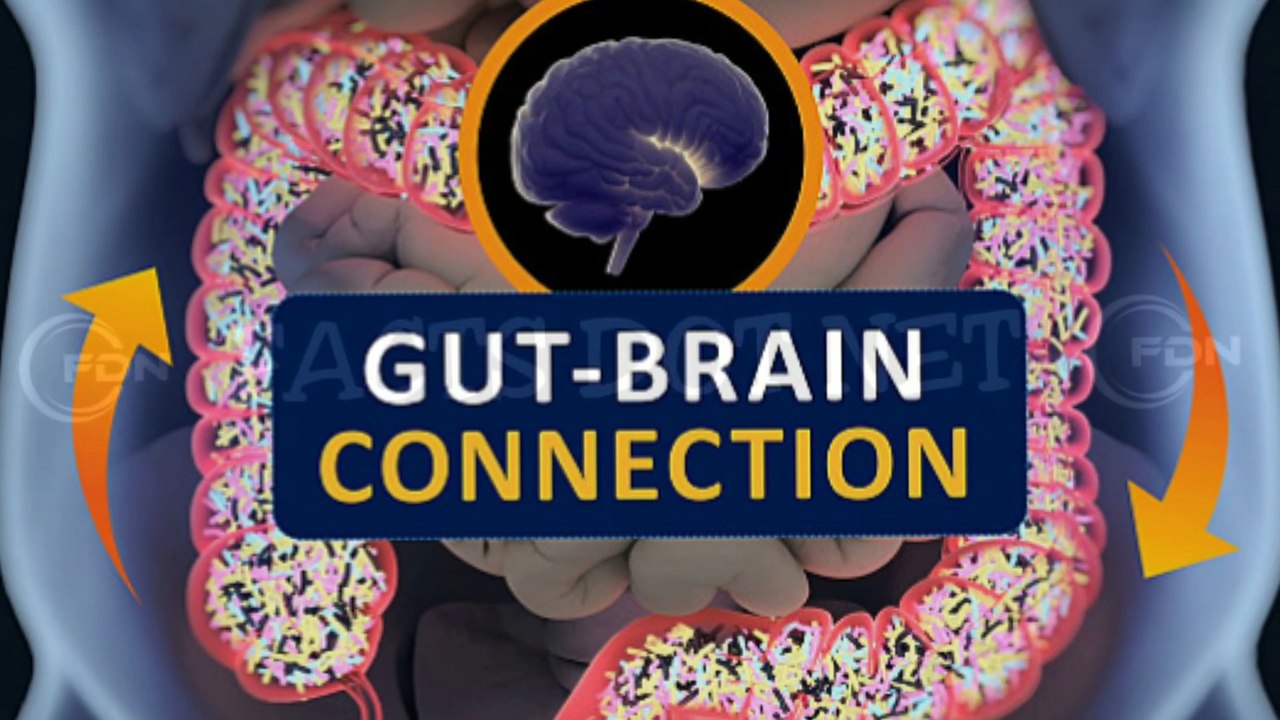 Did You Know? The Human's Second Brain || RANDOM, AMAZING and INTERESTING FACTS AROUND THE WORLD