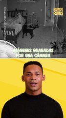 Cada noche este perrito entra a la habitación de su hermano humano para asegurarse de que duerma bien