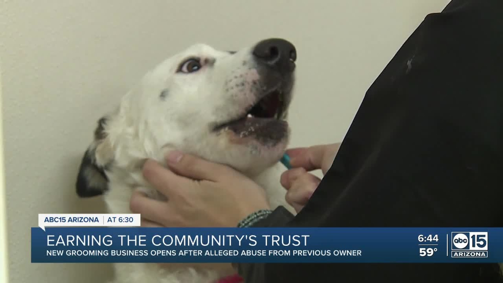 ⁣New dog groomer opens after alleged abuse from previous owner