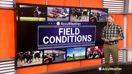 Tranquil weather in store for many matchups in the final week of the NFL regular season