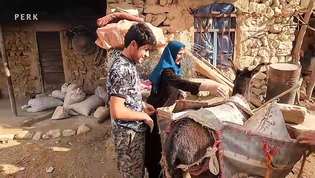Taking the Acorns to the City to Sell  Villagers in Iran