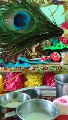 vrindavan gokul dham _bhaktisagar _newbhajan _