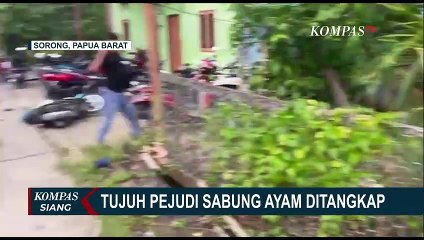 Video herunterladen: 7 Pelaku Judi Sabung Ayam Diringkus Tim Gabungan Satreskrim Polres Sorong Kota